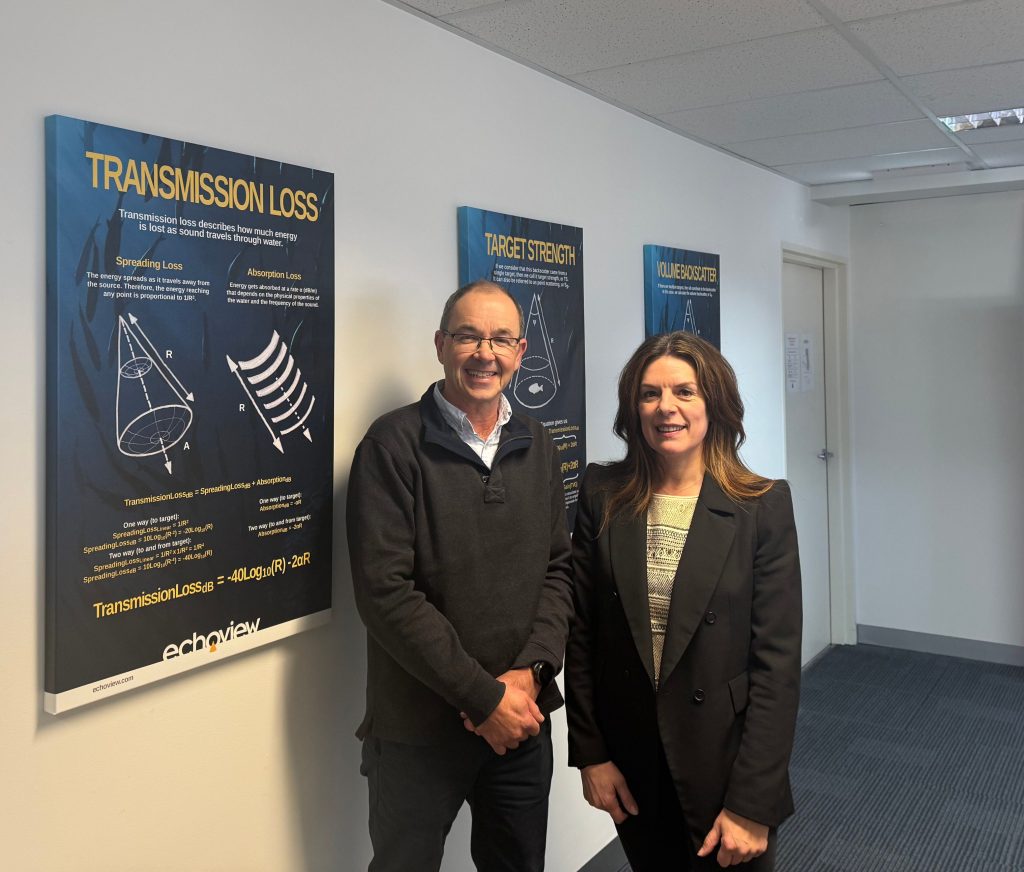 Directores de Zunibal y Echoview